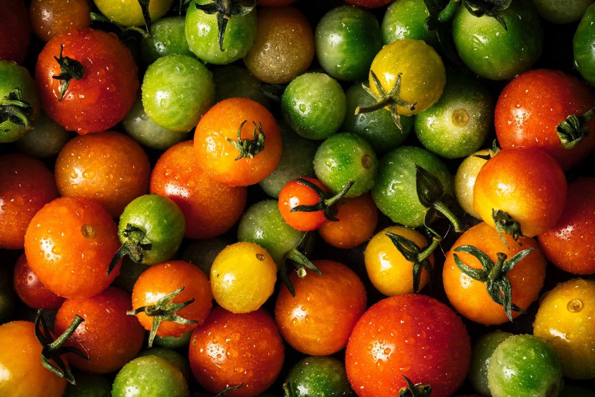 Colourful Tomatoes